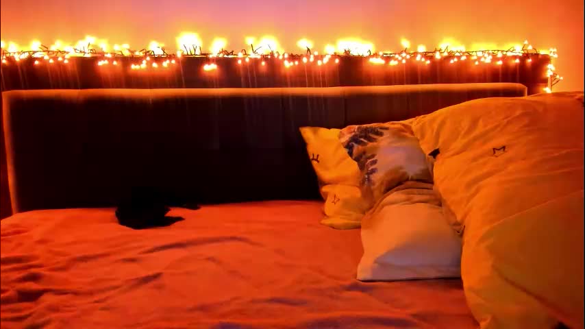 _just_a_simple_girl Live Sex December 14, 2025