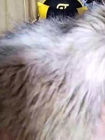 lindaledi2 Live Sex December 14, 2025