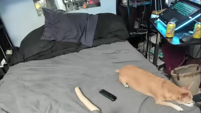 pink_black Live Sex December 17, 2025