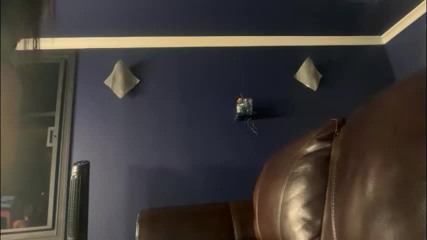 avaowenss Live Sex December 13, 2025