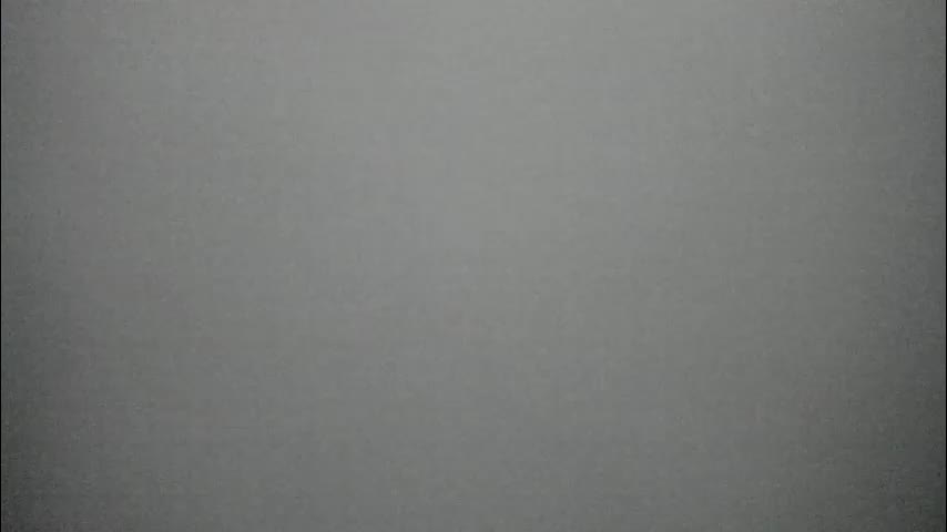 synop_sis Live Sex 2025.11.13