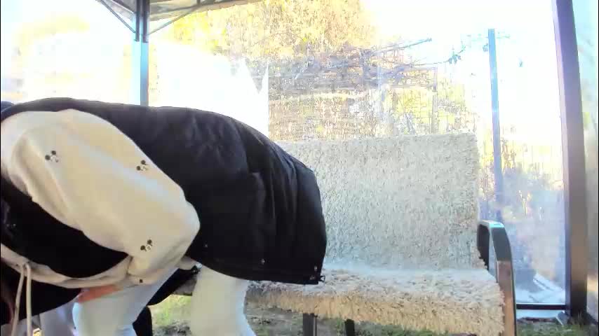 devileanna Live Sex 2025.11.13