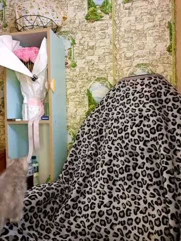 Miss_tits2025 Live Sex December 13, 2025