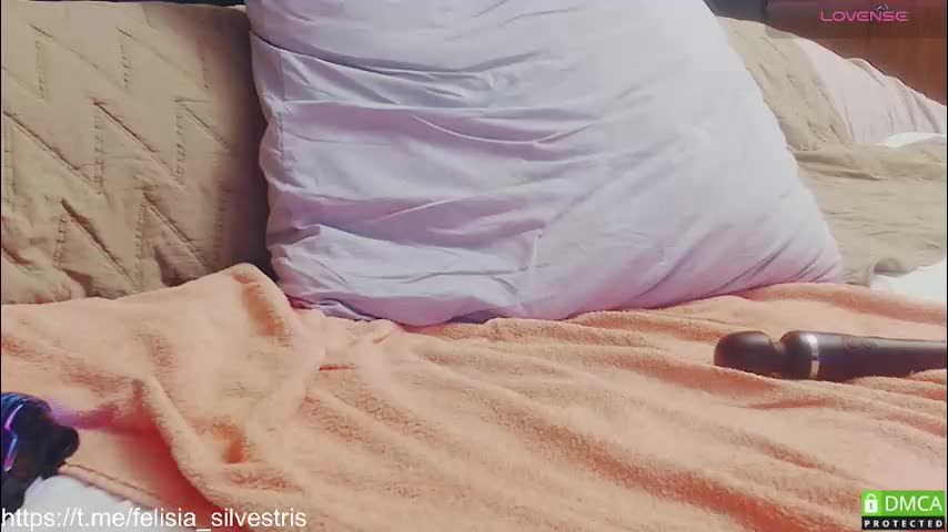 felisia_silvestris Live Sex December 17, 2025