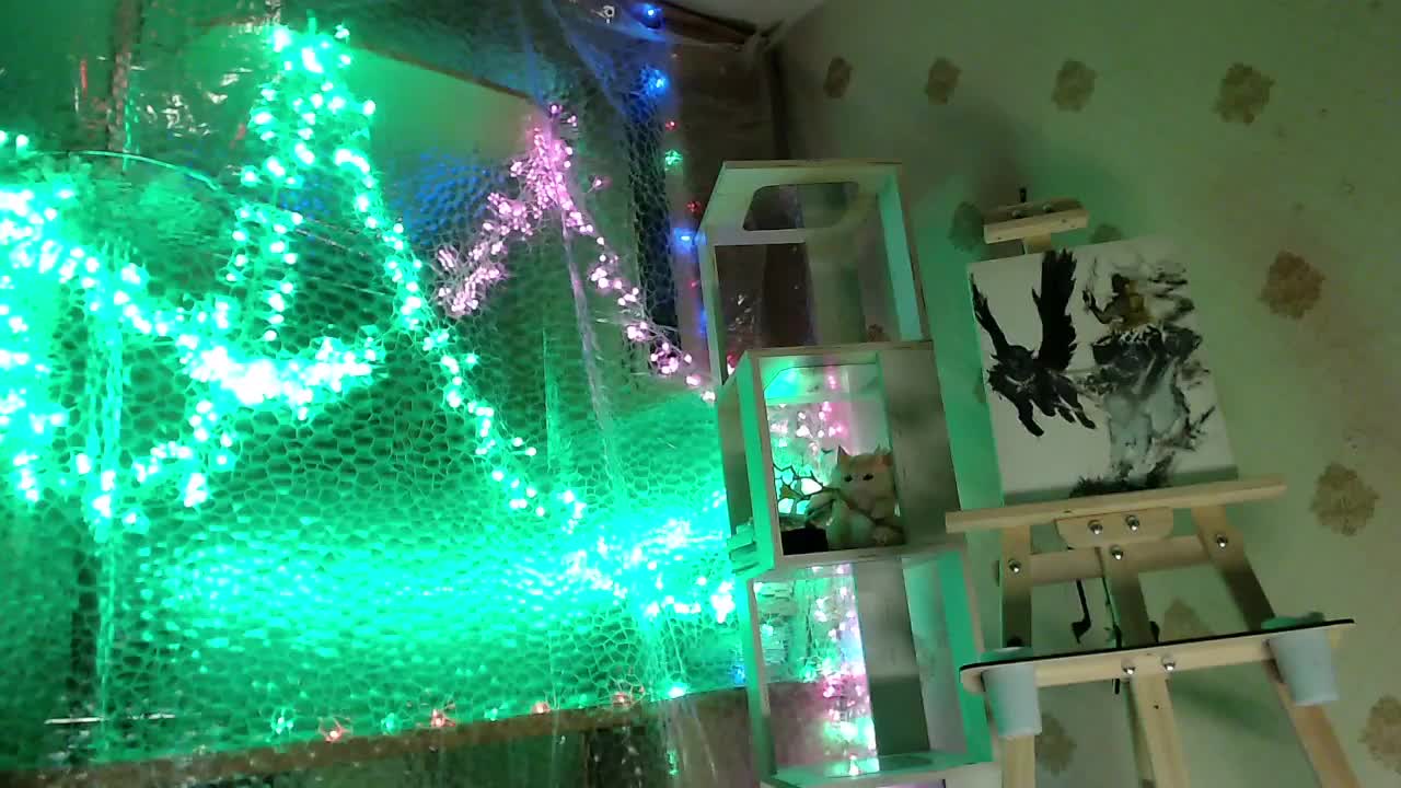 Yrriel_Autist Live Sex December 17, 2025