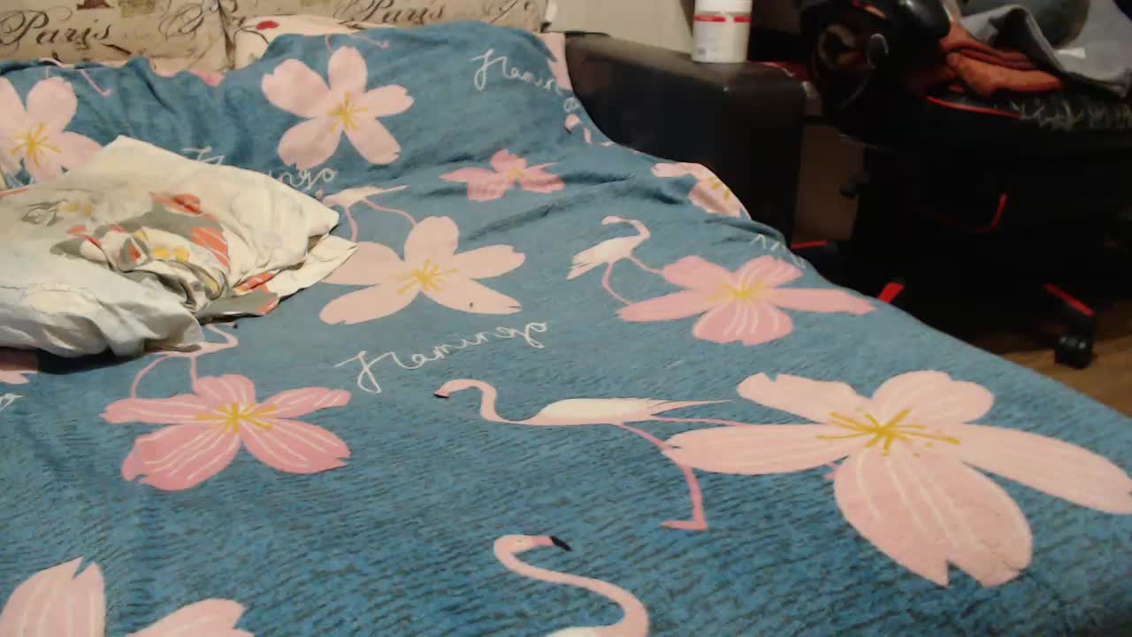 GospohaXXX Live Sex December 14, 2025