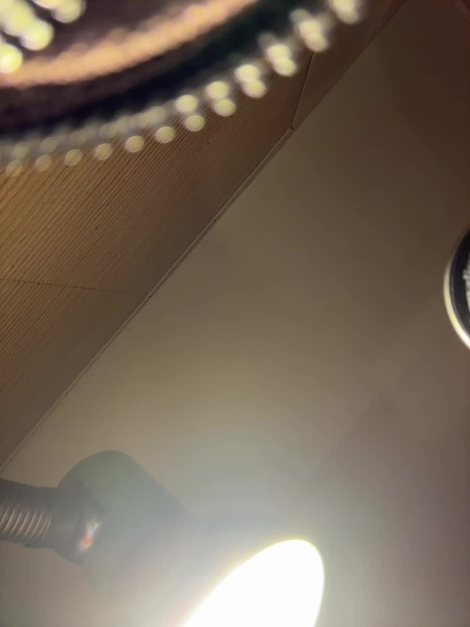 Wow-Eva Live Sex November 13, 2025