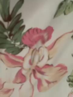 Anesteishen Live Sex December 17, 2025