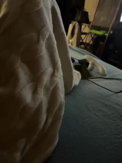 ParraTigroff Live Sex December 14, 2025