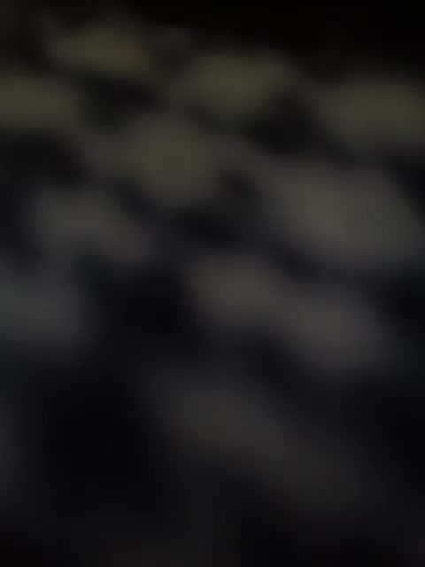 SG-310 Live Sex November 14, 2025