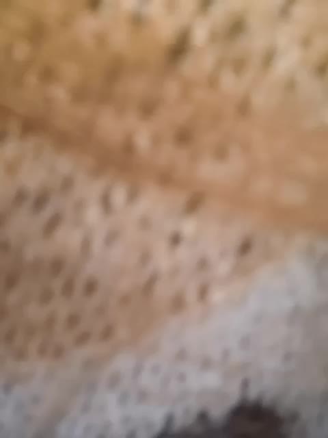 Napoliana Live Sex November 14, 2025