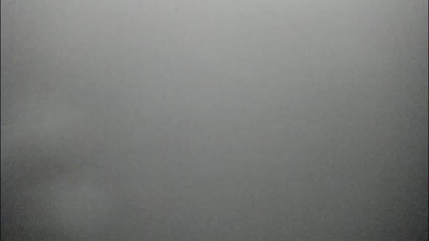 synop_sis Live Sex 2025.11.12