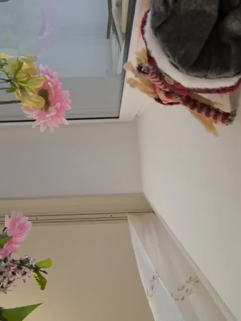 Napoliana Live Sex November 14, 2025