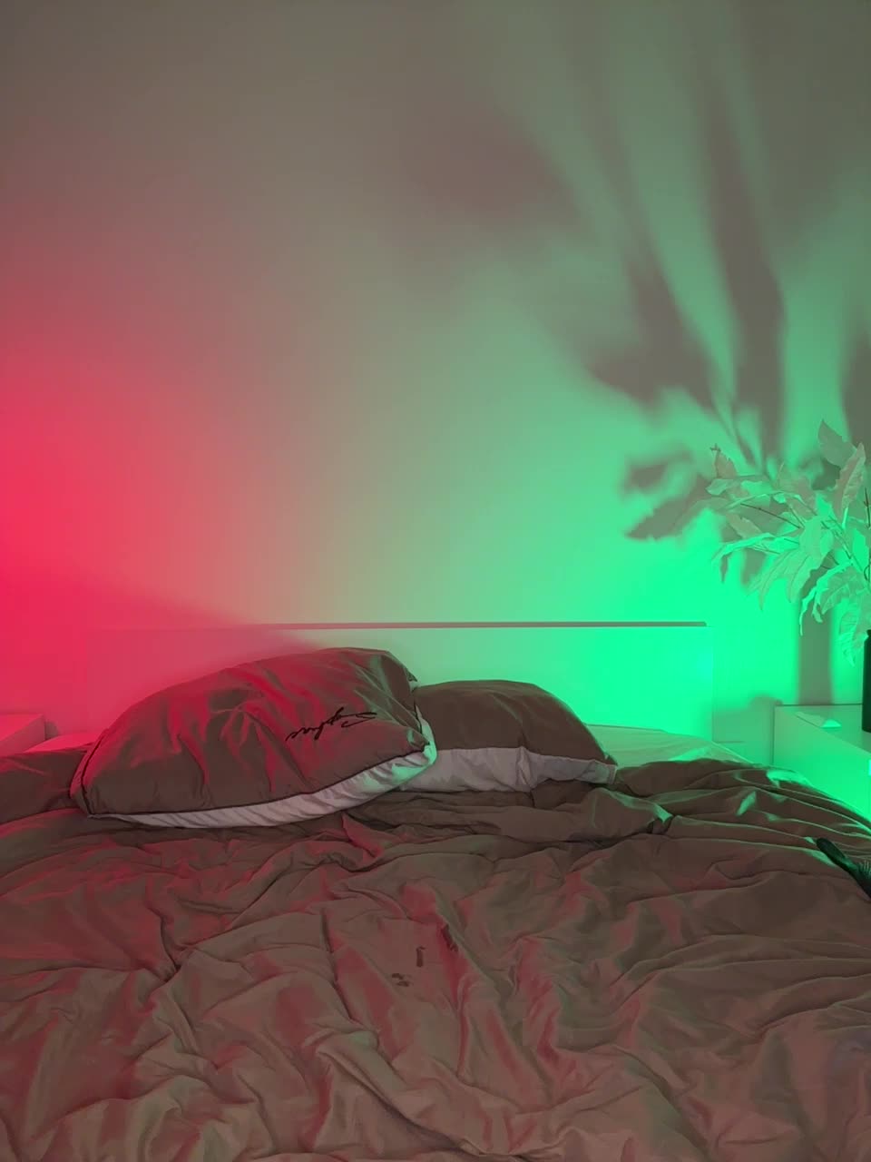 66wo99 Live Sex December 13, 2025