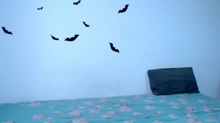 litle_owl Live Sex December 13, 2025