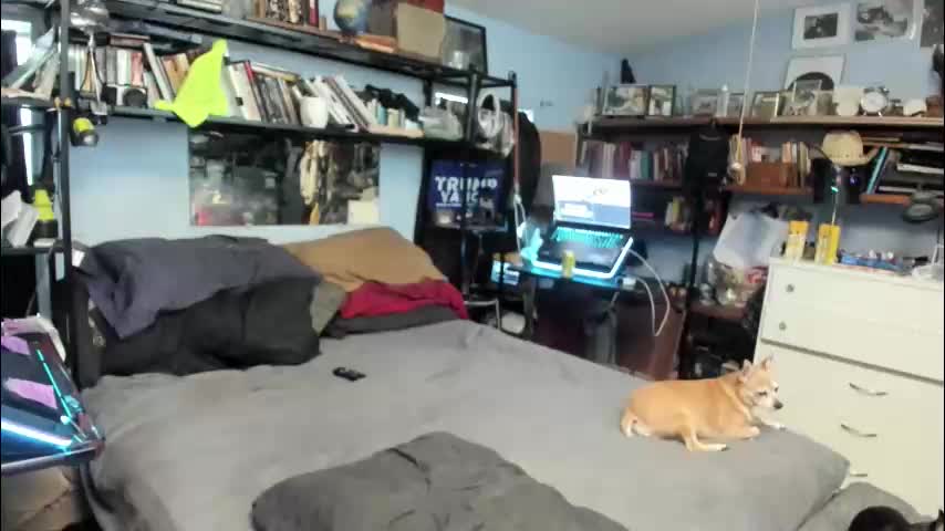 pink_black Live Sex December 17, 2025