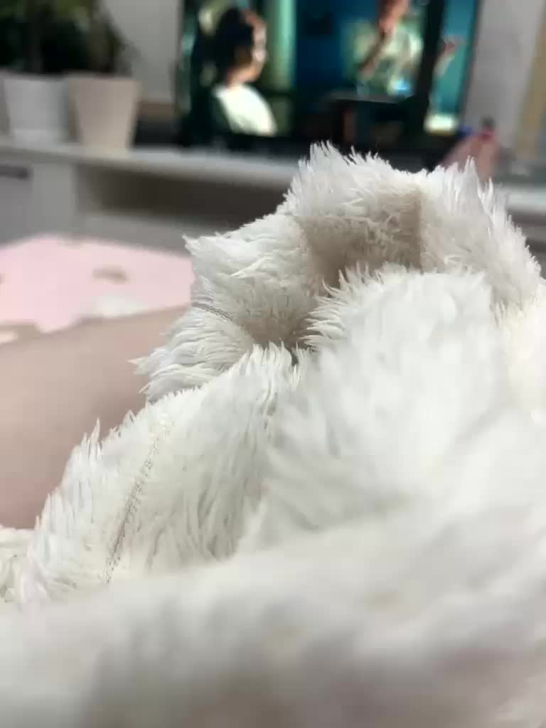 CuteKitty00 Live Sex November 15, 2025