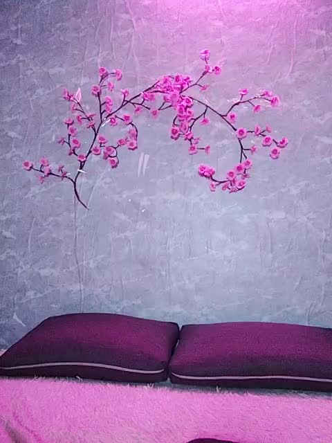 SexyKitty75-1 Live Sex December 14, 2025