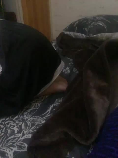 KisasexAlex Live Sex December 15, 2025