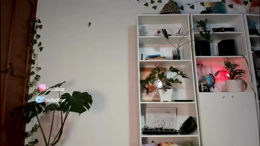 stellart_ Live Sex November 16, 2025