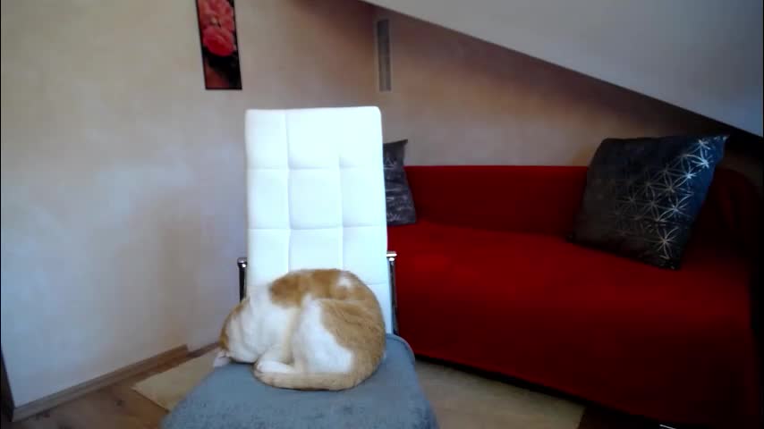 kathylovexxx Live Sex December 13, 2025