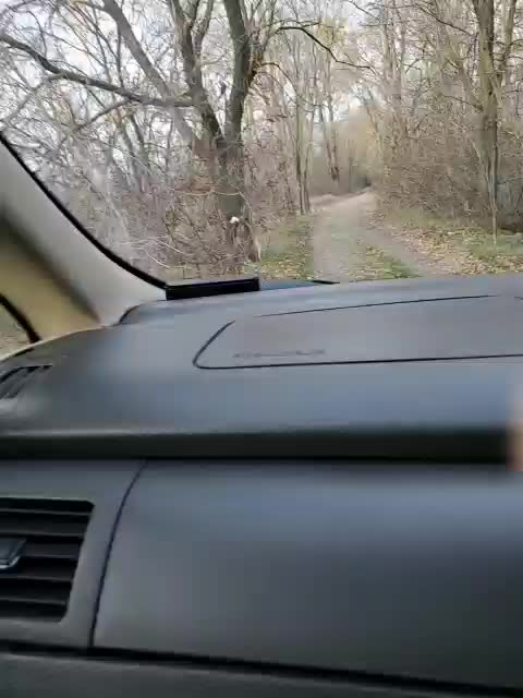 Alex80-201 Live Sex December 17, 2025