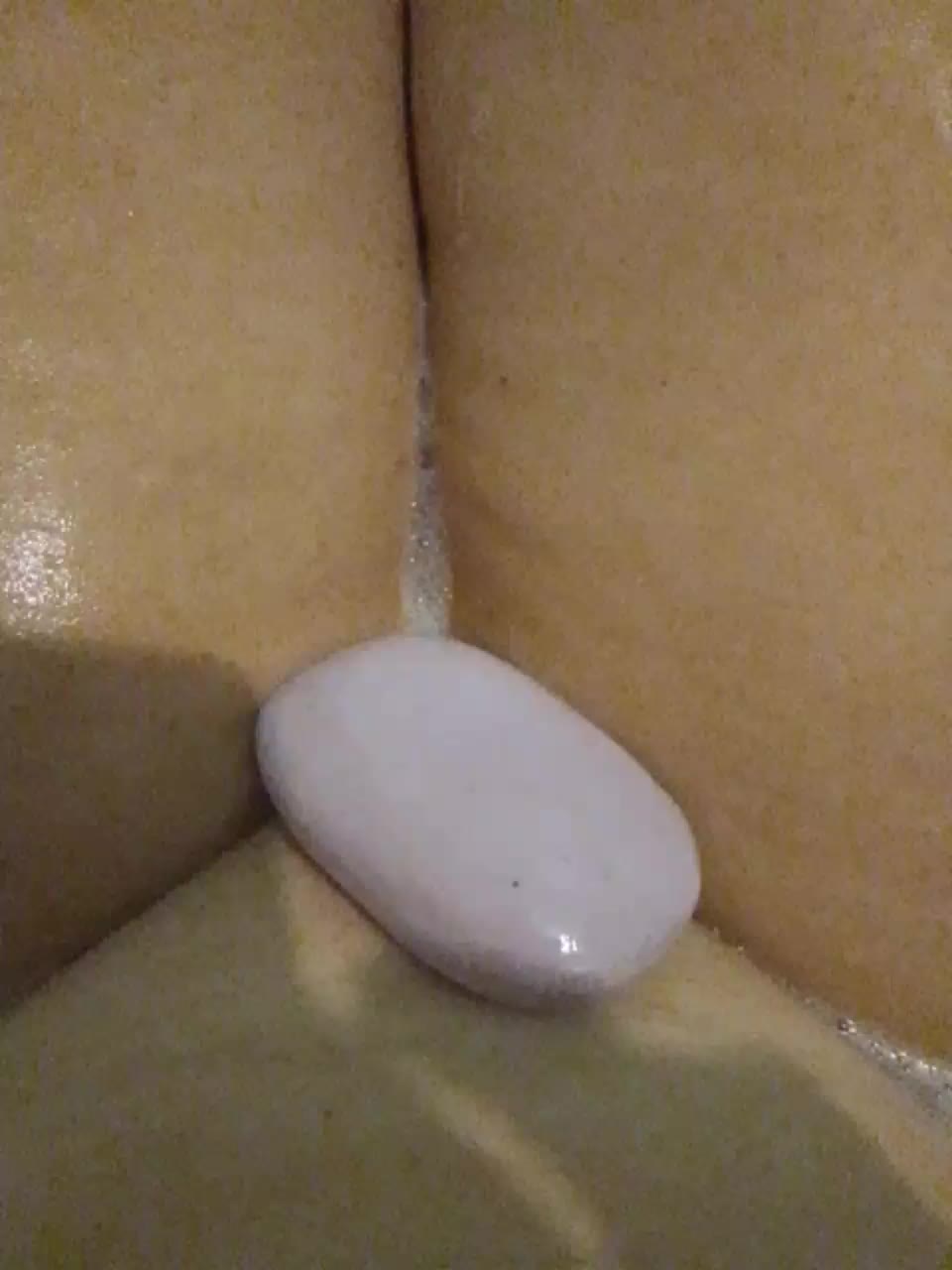 EVIL_TITS Live Sex December 12, 2025