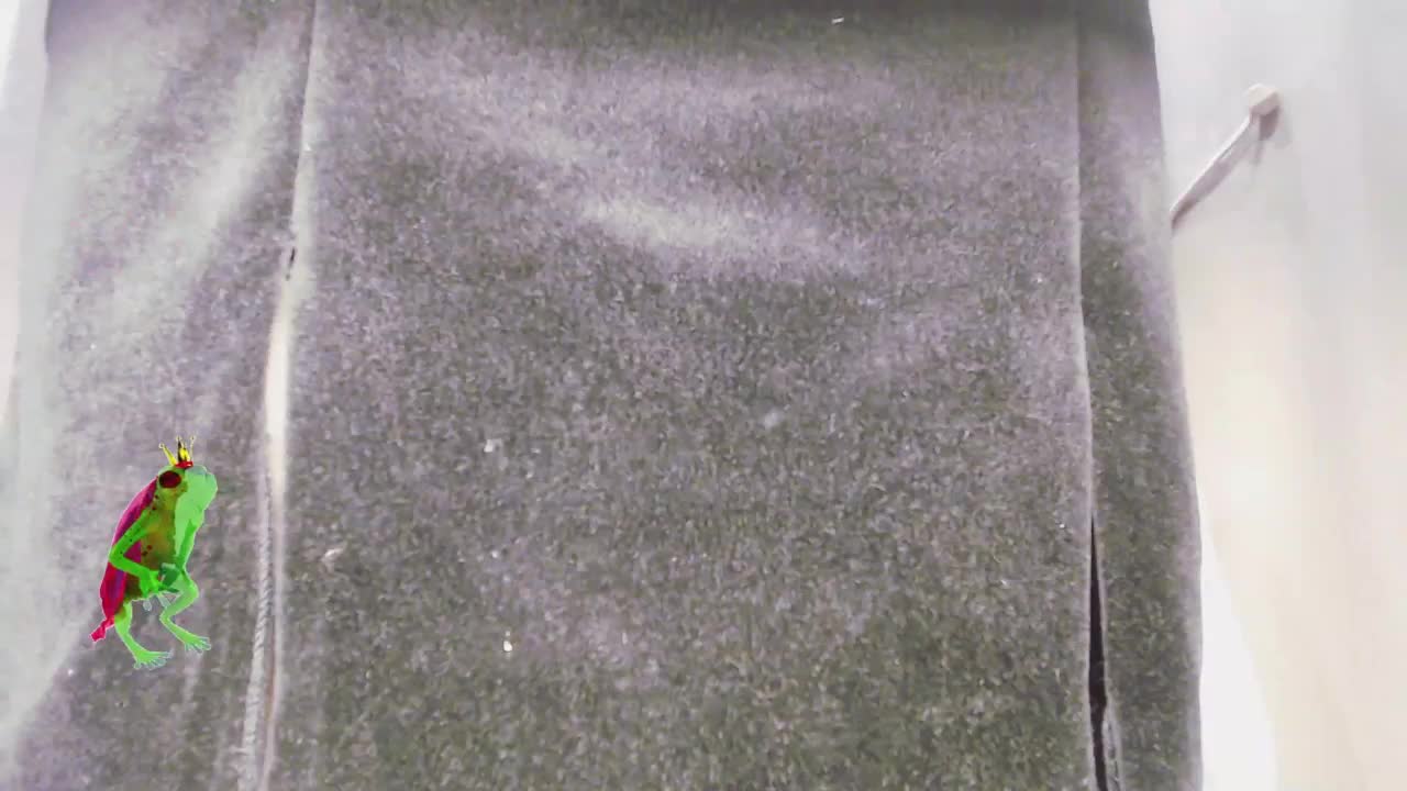 Va-len-cia Live Sex December 13, 2025