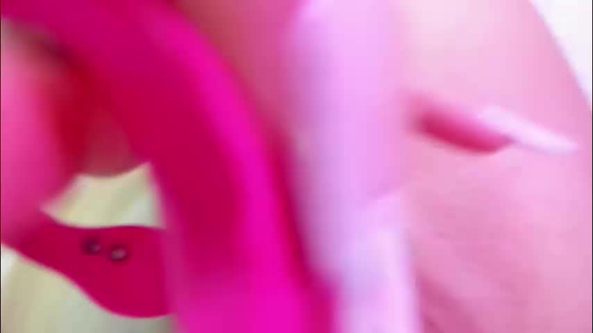 lissababe11 Live Sex November 17, 2025