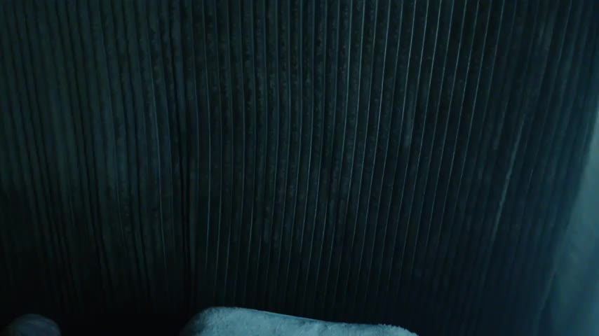 1BECHA1 Live Sex December 14, 2025