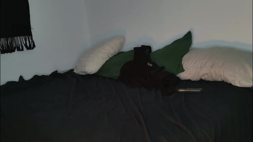 jackdesfeux Live Sex December 17, 2025