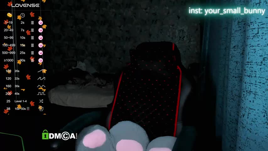 Your_small_bunny Live Sex December 17, 2025