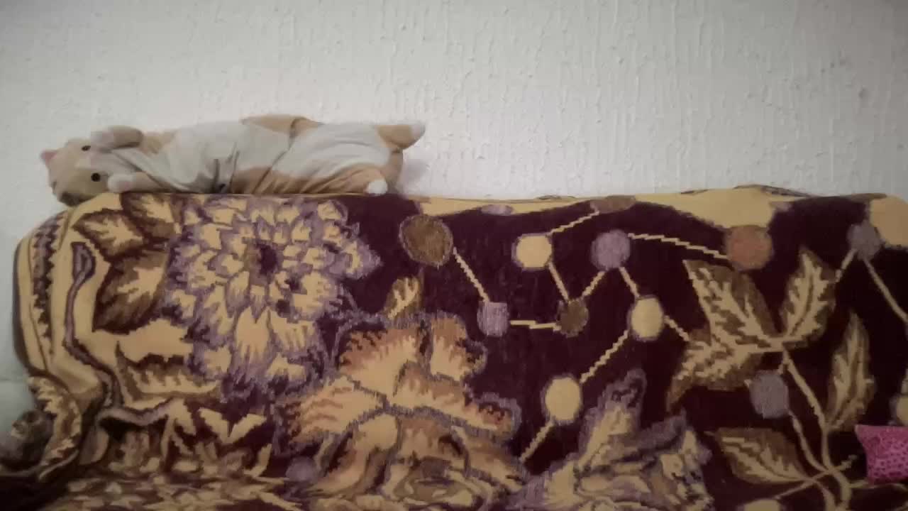 Natalii87 Live Sex December 13, 2025