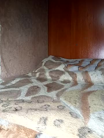 Holly_Bette Live Sex December 13, 2025