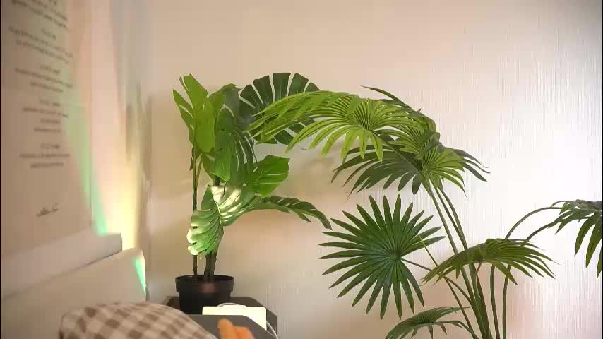 baby_bub Live Sex December 13, 2025