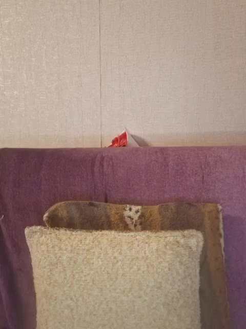 HaisonEris1 Live Sex November 17, 2025