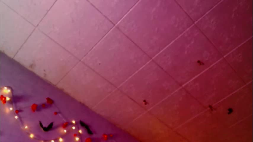 tits_your_dreams Live Sex December 13, 2025