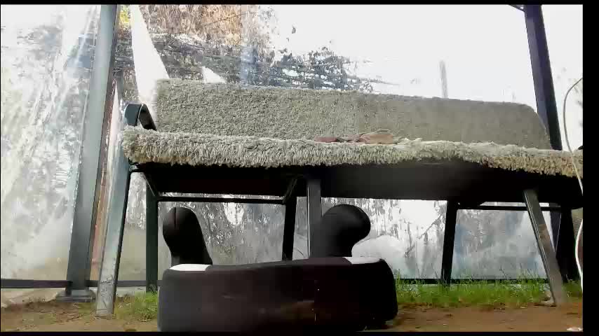 you_love_melisa Live Sex December 17, 2025