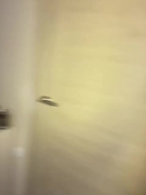 aesstheticss Live Sex December 14, 2025