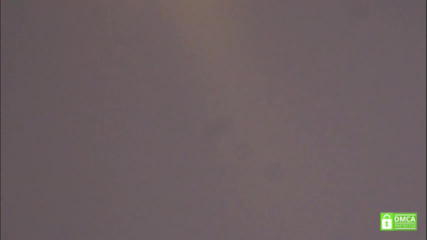 tashinapetitto Live Sex November 17, 2025