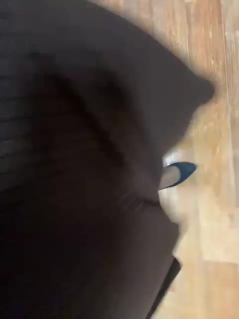 LustySass Live Sex December 13, 2025