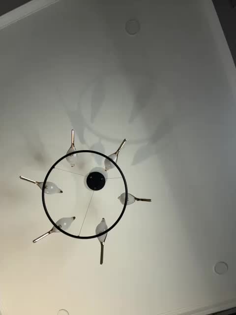 Roxysh Live Sex December 14, 2025