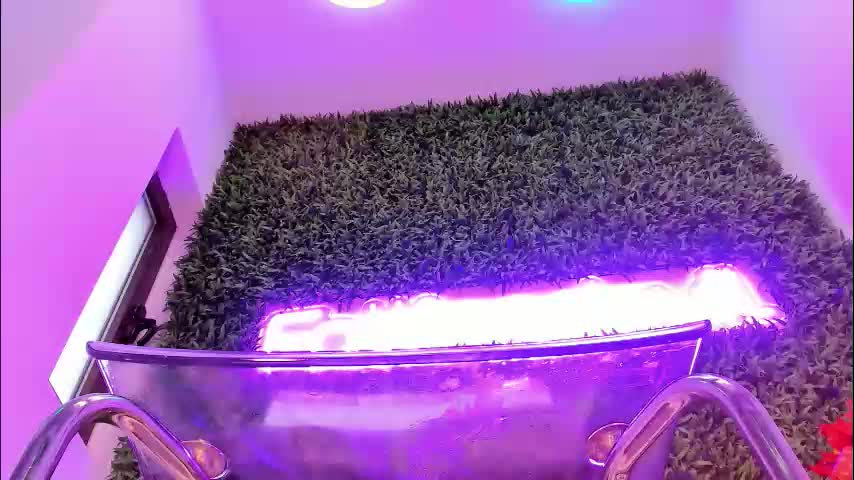 hotfallingdevil Live Sex December 13, 2025