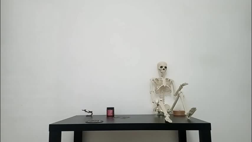 wandabeese Live Sex December 13, 2025