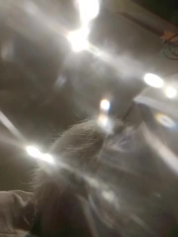 TilyTily Live Sex November 17, 2025