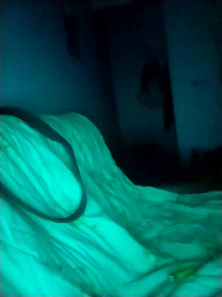 PrincessandSGP Live Sex December 13, 2025