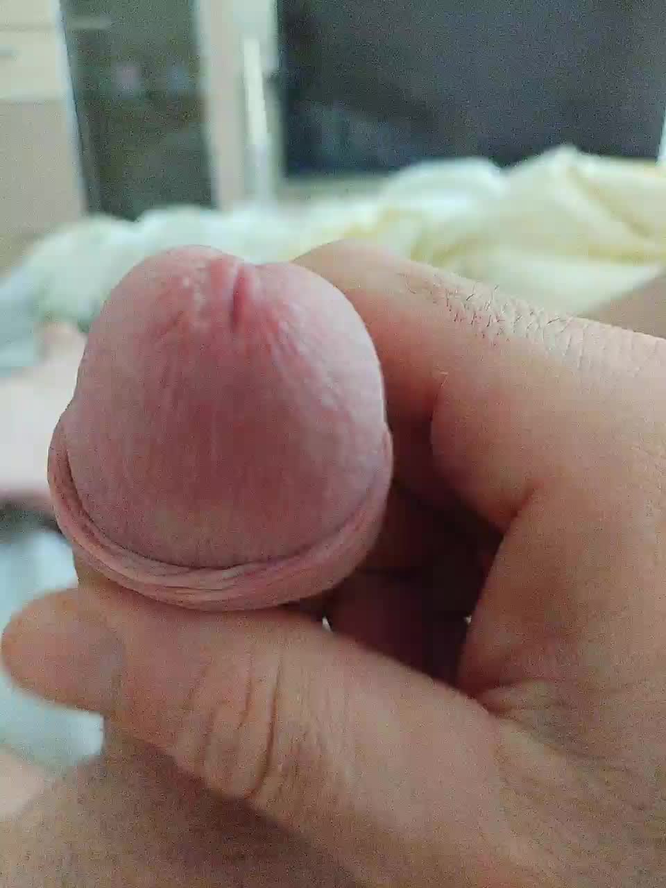 Paradise_1 Live Sex November 20, 2025