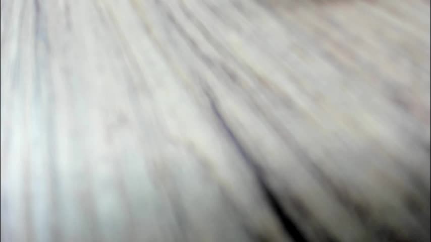 synop_sis Live Sex 2025.11.20