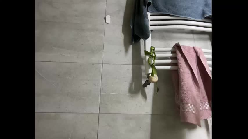 holydori Live Sex November 21, 2025