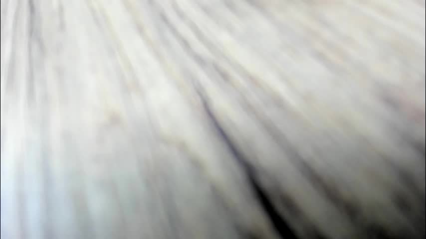 synop_sis Live Sex 2025.11.21